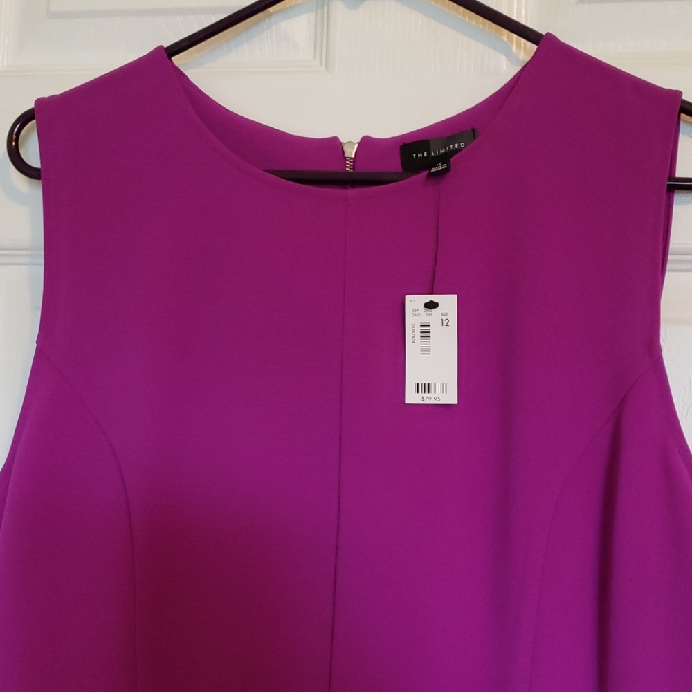 The Limited dress